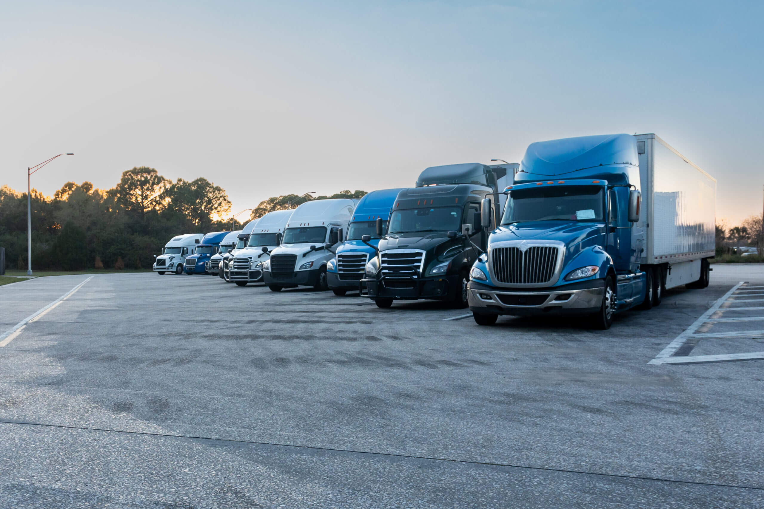 Trucks parked in a row at dusk.